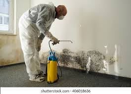 Mold Remediation for Vacation Homes in Highland, NY